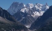 Excursión Senderismo Chamonix-Mont-Blanc - MASSIF DU MONT BLANC: INDEX-LAC BLANC-FLEGERE - Photo 2