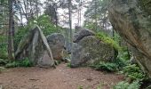 Tocht Stappen Fontainebleau - Fontainebleau sentier Denecourt 7-8 8-8 - Photo 19