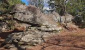 Tocht Stappen Fontainebleau - coseg 26 février  - Photo 3