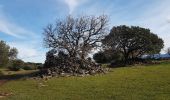 Randonnée Marche Lieuran-Cabrières - Balcons volcaniques - Photo 7