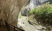 Tocht Stappen Rougon - Point sublime Verdon Blanc Martel 12 km - Photo 2