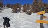 Tour Skiwanderen Puy-Saint-Pierre - prorel par le chemin retour par les pistes  - Photo 4