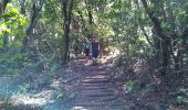 Tour Wandern Ribeira da Janela - Levada dos Cedros - Photo 10