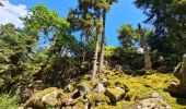 Trail Walking Le Syndicat - depuis Nol balcon de Solem - Photo 1