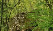 Tour Zu Fuß Gomadingen - Zugangsweg Ringingen - Burladingen - Hauptstraße Gauselfingen - Photo 7