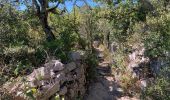 Trail Walking Saint-Alban-Auriolles - Tour des gorges de la baume - Photo 4