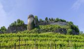 Tour Zu Fuß Brescia - Cascina Margherita per la Colletera e Sentiero Gasusì - Photo 6