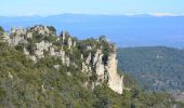 Tour Wandern La Roquebrussanne - 10844300-chapelle st andre ,grotte 400 moutons source oris - Photo 18