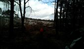 Trail Walking Arbonne-la-Forêt - Les grands feuillards - Photo 3