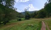 Tour Wandern Mittlach - VOSGES 2023 - MITTLACH - Vallée de la Wormsa - Photo 1