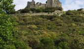 Trail Walking Saint-Mathieu-de-Tréviers - Pic St Loup  - Photo 1