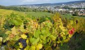 Randonnée Marche Château-Thierry - Château Thierry Rando France Bleu - Photo 1