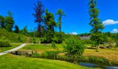 Randonnée Marche Beauraing - Balade dans le Parc du Castel à Beauraing - Photo 9