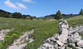 Tocht Stappen Châtillon-en-Diois - Vallon de Combau - Pas de l'Aiguille - Photo 7