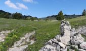 Excursión Senderismo Châtillon-en-Diois - Vallon de Combau - Pas de l'Aiguille - Photo 7