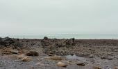 Excursión Senderismo Champeaux - les falaises de Carolles - Champeaux - Photo 5