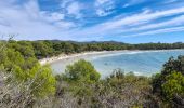 Tocht Stappen Bormes-les-Mimosas - TOULON / BORMES LES MIMOSAS: LA LONDE - Photo 5