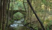 Percorso A piedi Ribeira de Fráguas - Trilho dos Três Rios - Photo 9