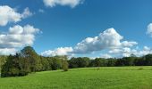 Trail Walking Comblain-au-Pont - ambleve . pic de Napoléon . roches noires . ourthe  - Photo 12