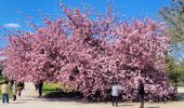 Trail Walking Paris - Balade parisienne + expo nous la commune - Photo 7