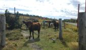 Percorso Bici da strada Job - Job .Col de Beal. Vtt. 01.09.2019  - Photo 7