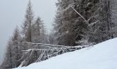 Randonnée Raquettes à neige Uvernet-Fours - Pra Loup - Cabane Forestière du Fau - Photo 4