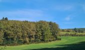 Tour Wandern Veix - Tour du Puy d'Orliac - Photo 5