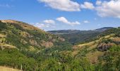 Tocht Stappen Prades - De Prades à la Seuge - Photo 11