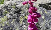 Tocht Stappen Cauterets - la boucle du Marcadau - Photo 1