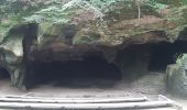 Tour Wandern Echternach - mullerthal rando E1 . echternach . berdorf . echtrnach . via gorge du loup - Photo 10