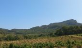 Excursión Senderismo Gigondas - Les Florets Lencieux Pas de l'Aigle - Photo 5