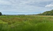 Tour Nordic Walking Vendays-Montalivet - Marais de la Perge - Photo 20