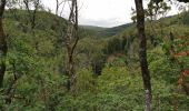 Tour Wandern Bouillon - Dohan 12km 2020  - Photo 7