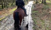 Trail Horseback riding Bièvre - Graide manege 10km ZZW - Photo 4