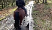 Excursión Paseo ecuestre Bièvre - Graide manege 10km ZZW - Photo 4