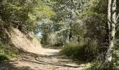 Randonnée Marche Saint-Jean-Delnous - Le chemin de Farret Saint Jean Delnous - Photo 5