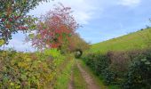 Tocht Stappen Theux - franchimont-maché . chinru - retour - Photo 9