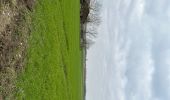 Tour Wandern Wortegem-Petegem - Wortegem 12,7 km - Photo 5