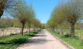 Trail Walking Tongeren - reser e de kevie - Photo 15