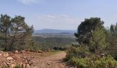 Tocht Stappen Caunes-Minervois - LaMatte14avril2022 - Photo 1