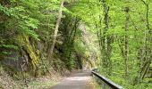 Tocht Stappen Tandel - Promenade Bettel - Vianden - Photo 7