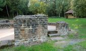 Percorso A piedi Michelstadt - Rundwanderweg Römerbad 5 - Photo 8