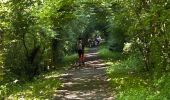 Randonnée Marche Huldenberg - #230710 - Neerijse, nature idyllique dans la réserve naturelle de Doode Bemde**** - Photo 5