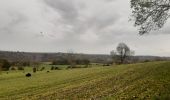 Tocht Stappen Comblain-au-Pont - oneux . chanbralles . croix septroux . hoyemont . oneux  - Photo 19