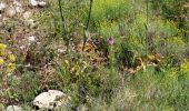 Trail Walking la Vall de Laguar - Benimaurell 250525 - Photo 6