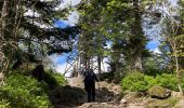 Excursión  Gérardmer - Bourrique, tour et cascade de Merelle - Photo 5