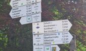 Trail Walking Bad Peterstal-Griesbach - Buhlbachsee & Lotharpfad - Photo 4
