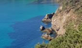 Trail Walking Crozon - FINISTÈRE-  CAP de la CHÈVRE  - Photo 11