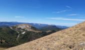 Tocht Stappen Val-Maravel - le pilhon la blanche.mont chauvet  - Photo 1