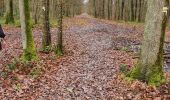 Trail Walking Laines-aux-Bois - Les grandes vallées 11km réel - Photo 2